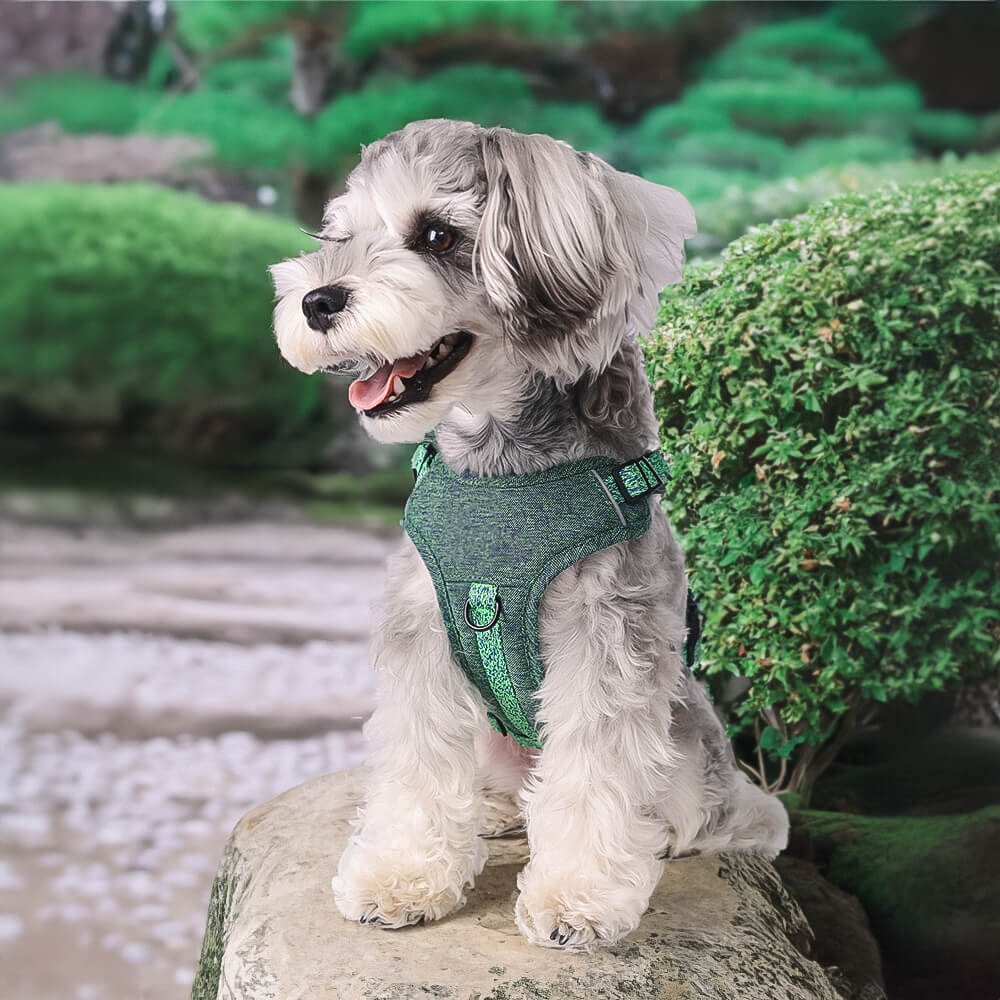 Recycled Fabric No-Pull Dog Harness/Lead
