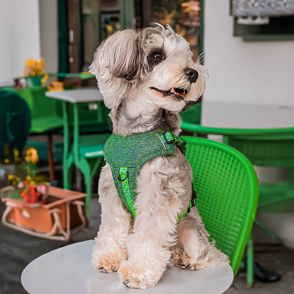 Recycled Fabric No-Pull Dog Harness/Lead