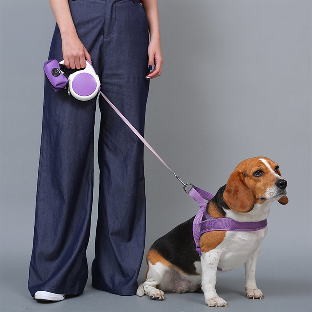 Nylon Adjustable Reflective No-Pull Dog Harness Collar and Lead